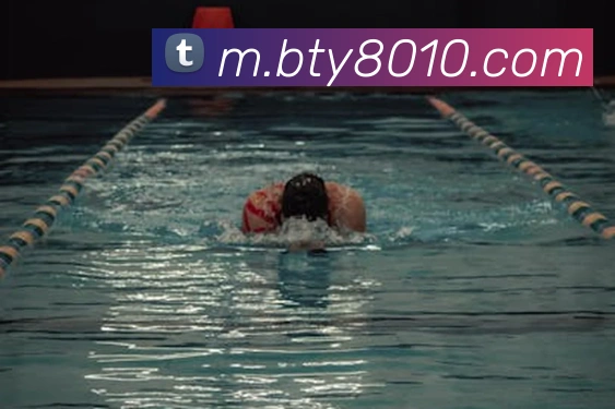 B体育APP 封面图